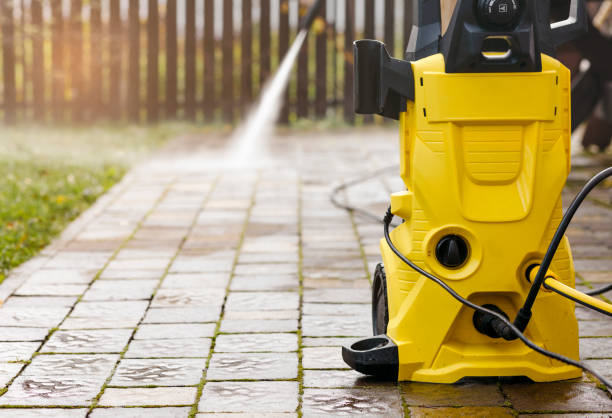 Animal Enclosure Cleaning in Chiefland, FL